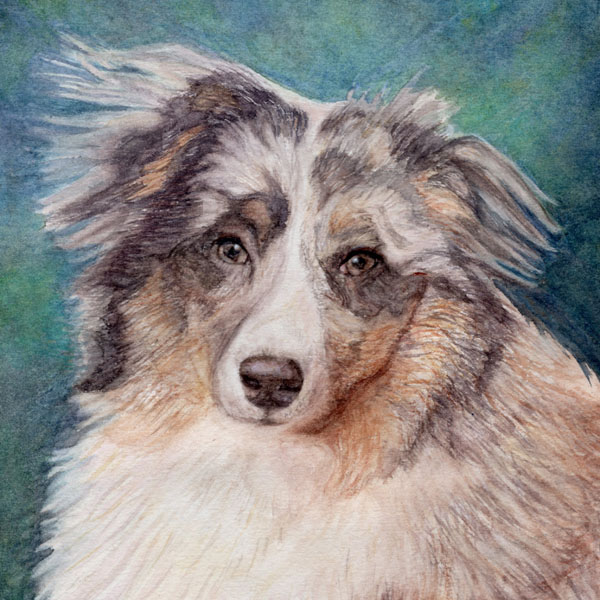 DOLCE_000469_039723_19582374_13334