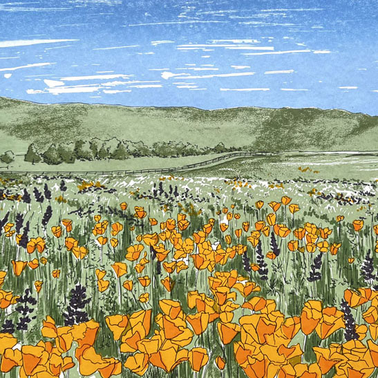 Storrs-Fisher_000451_013685_19558297_13334